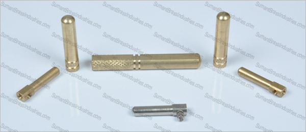 Brass Molding electrical plug pin